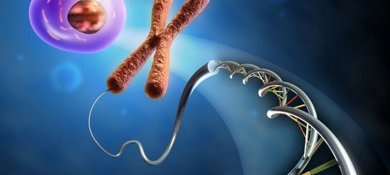 Karyotyping בני זוג, או כיצד לתכנן את לידתו של תינוק בריא
