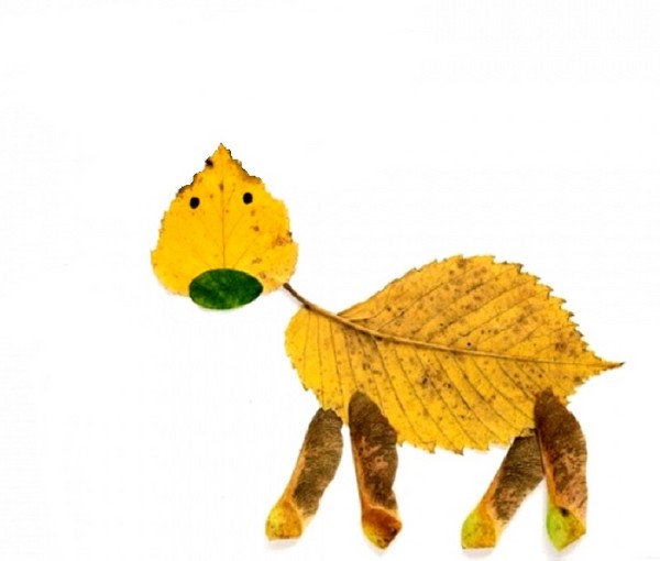 Applique מן הסתיו משאיר לגן ו 1-2 כיתות של בית הספר, כיתות אמן עם תמונה ווידאו