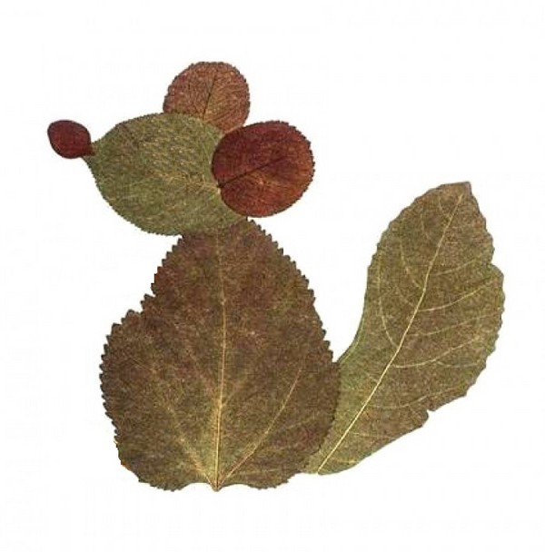 Applique מן הסתיו משאיר לגן ו 1-2 כיתות של בית הספר, כיתות אמן עם תמונה ווידאו