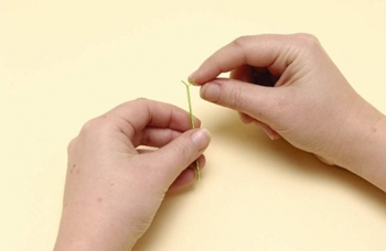 Quilling פרחים מנייר למתחילים