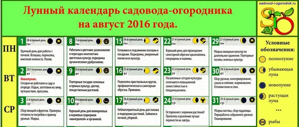 ירח משאית לוח שנה חקלאית עבור אוגוסט 2016 עבור אזור מוסקבה, החגורה האמצעית של רוסיה, אוראל, סיביר, צפון מערב, בלארוס ואוקראינה ירח משאית לוח שנה חקלאית עבור אוגוסט 2016 עבור אזור מוסקבה, החגורה האמצעית של רוסיה, אוראל, סיביר, צפון מערב, בלארוס ואוקראינה