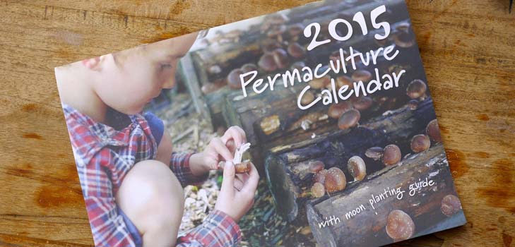 זריעה לוח השנה 2015: אנחנו מתכננים לעבוד מינואר עד דצמבר
