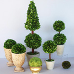 טיפול topiary