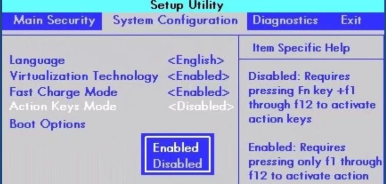 חלון BIOS