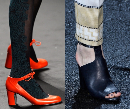 אופנתיות נשים נעליים סתיו חורף 2014: תמונות של נעלי החורף האופנתי ביותר של 2014