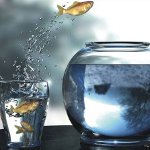 Comfort Zone: כיצד להרחיב את זה?
