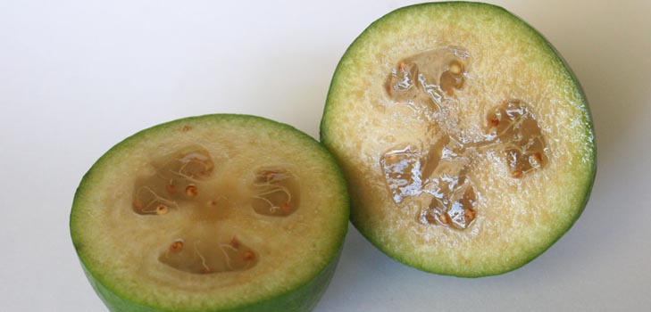 Feijoa - תכונות שימושיות, היתרונות ואת הפגיעות של feijoa