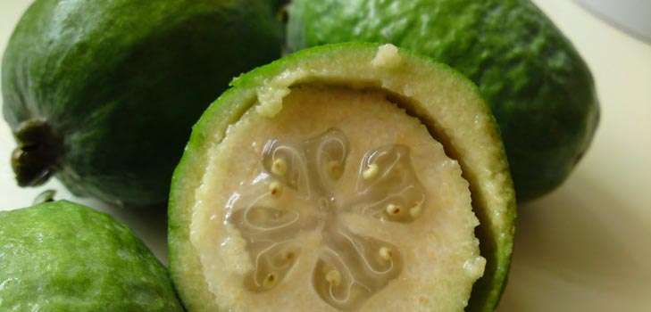 איך לאכול feijoa: איך לאכול כראוי feijoa
