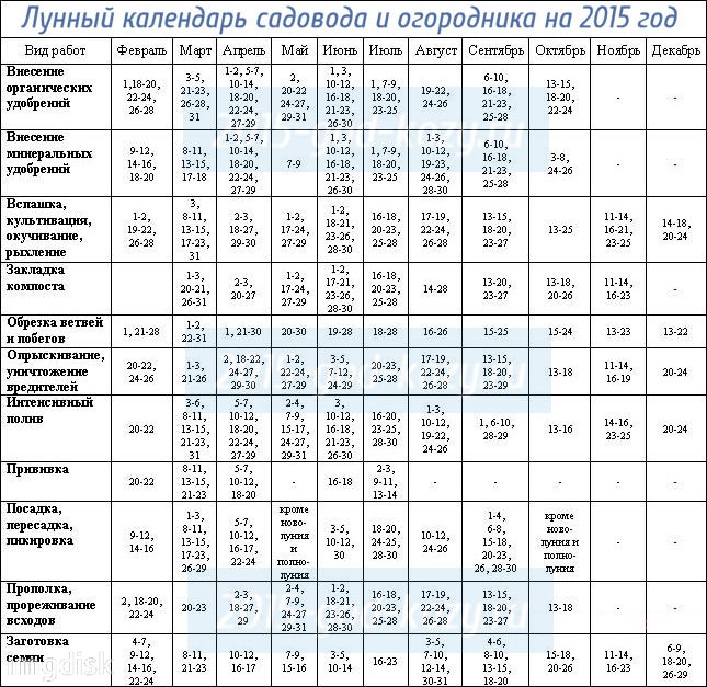 הירחי של השתלת צמחים בית 2015