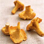 אנחנו מבשלים chanterelles לחורף