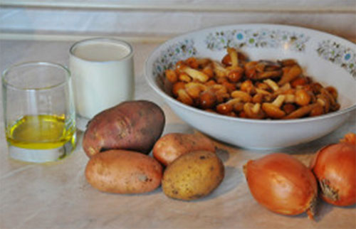 המרכיבים הדרושים