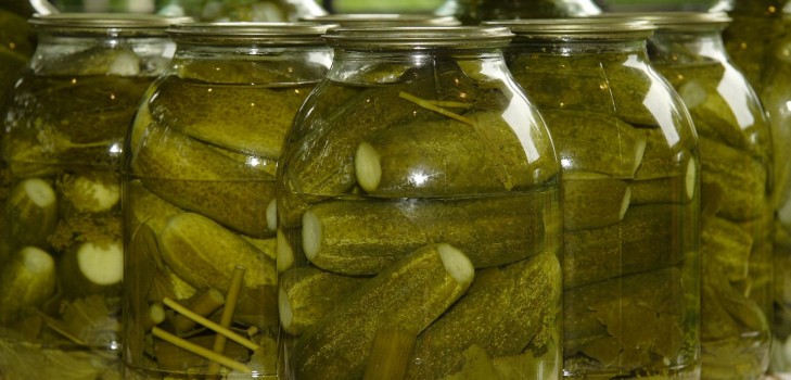 מלפפונים פריך לחורף - כבושים, ללא חומץ, ללא עיקור. המתכונים הפשוטים ביותר עם תמונות של מלפפונים פריך פחיות עם וודקה