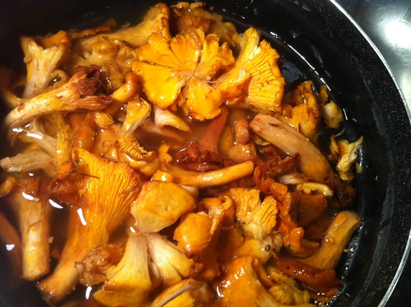 איך לבשל chanterelles במחבת