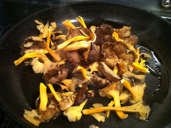 איך לבשל chanterelles במחבת