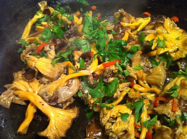 איך לבשל chanterelles במחבת