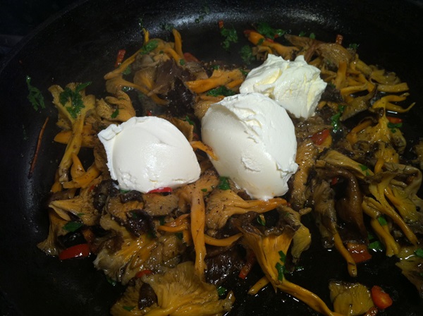 איך לבשל chanterelles במחבת