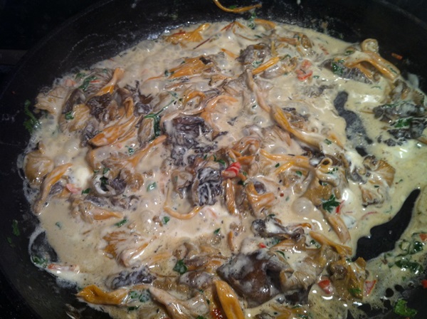 איך לבשל chanterelles במחבת
