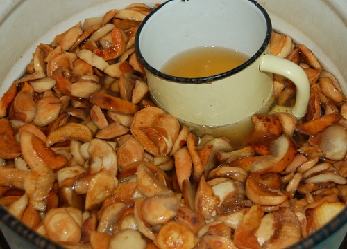 מתכונים טעים ופשוט של kvass על ליבנה סאפ