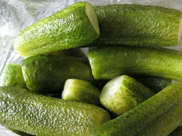 מלפפונים חמוצים קלויים בסיר