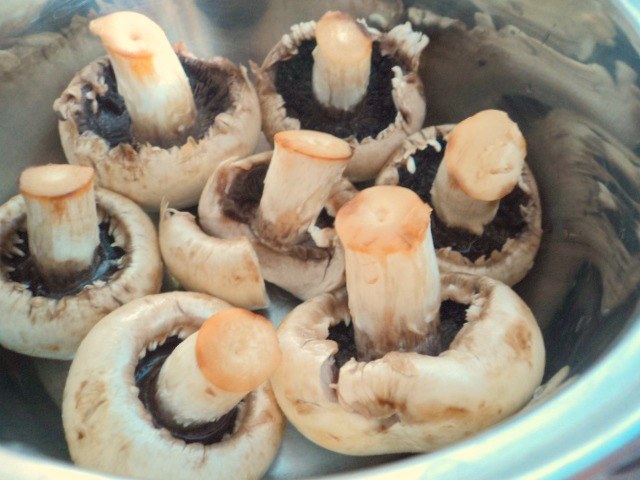 גדול Champignons