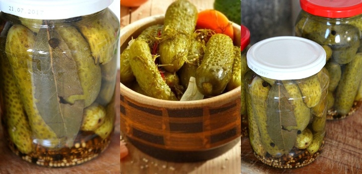 מלפפונים עם חרדל לחורף פחיות, מתכונים עם תמונה