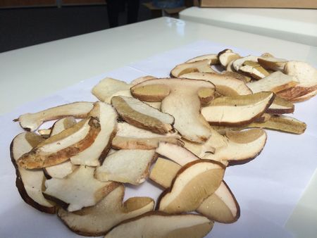 המתכון למרק מפטריות מיובשות, תכונותיו השימושיות