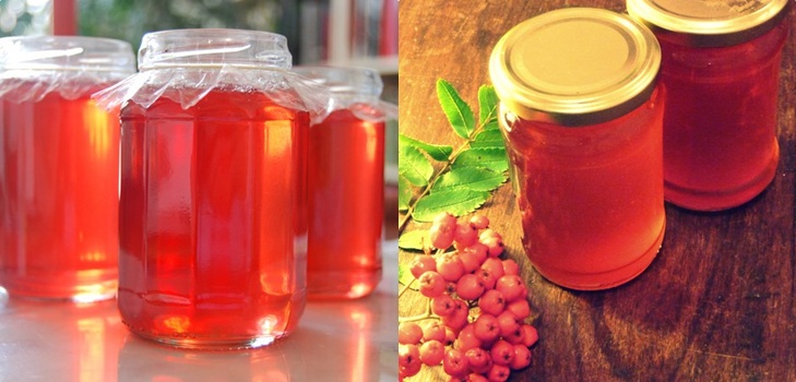 Rowan לחורף: מתכונים עבור billets מן chokberry אדום ושחור הרגיל
