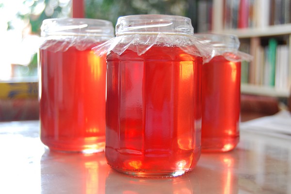 Rowan לחורף: מתכונים עבור billets מן chokberry אדום ושחור הרגיל