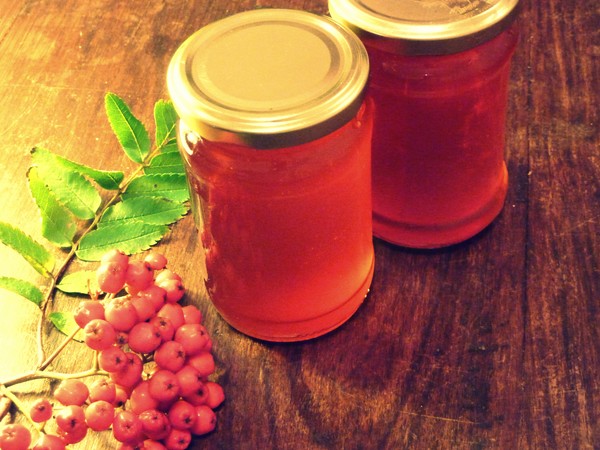Rowan לחורף: מתכונים עבור billets מן chokberry אדום ושחור הרגיל