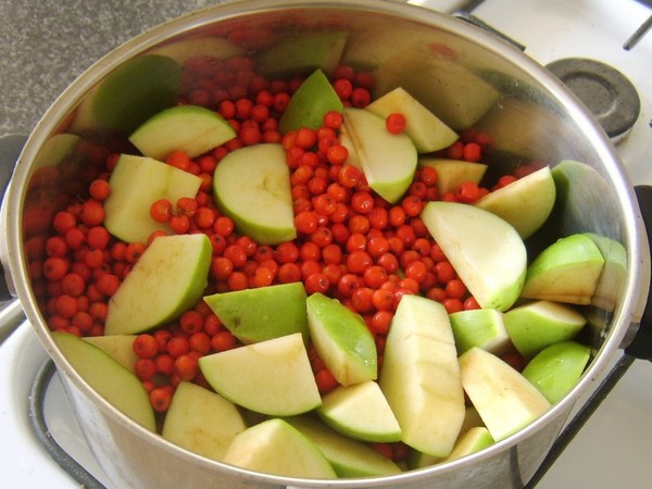 Rowan לחורף: מתכונים עבור billets מן chokberry אדום ושחור הרגיל