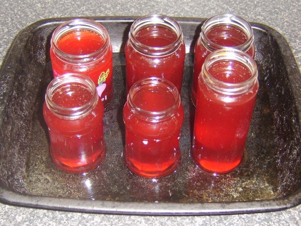 Rowan לחורף: מתכונים עבור billets מן chokberry אדום ושחור הרגיל
