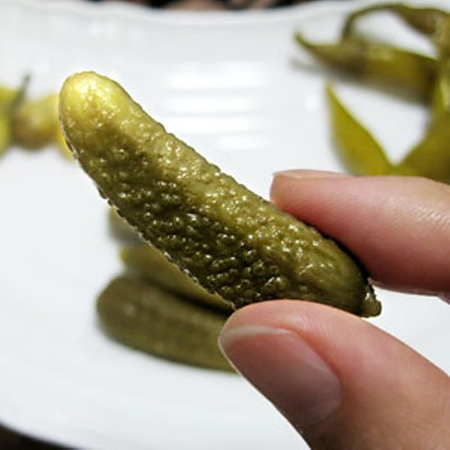 סלט מלפפון לחורף