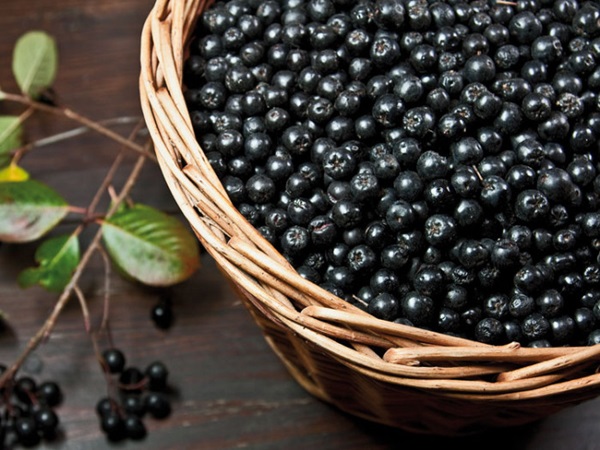 ריבה מ chokeberry שחור