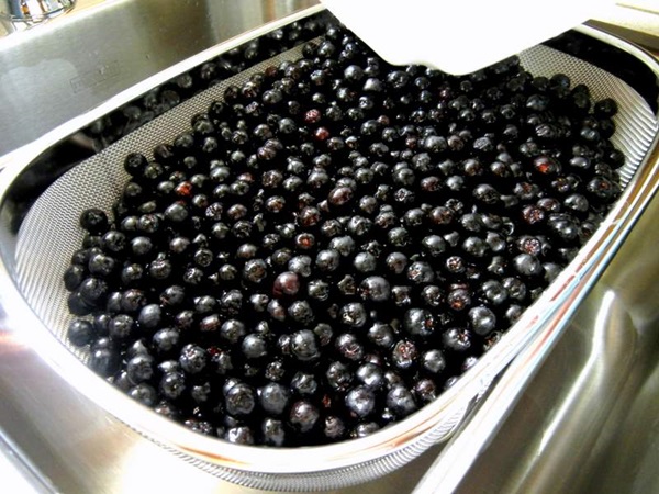 ריבה מ chokeberry שחור