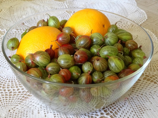 מתכונים של ריבת מדומדמניות