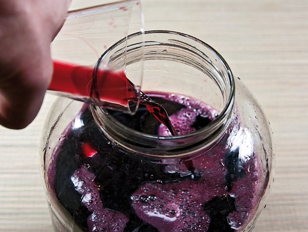 יין תוצרת בית מ chokeberry