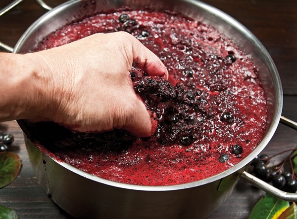 יין תוצרת בית מ chokeberry