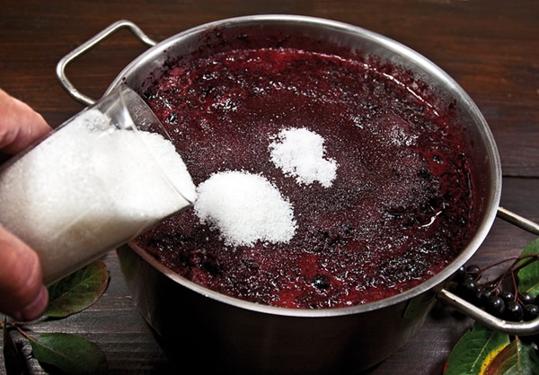 יין תוצרת בית מ chokeberry