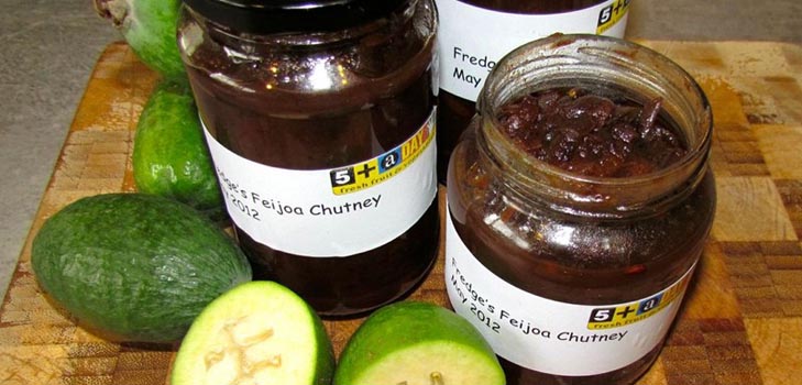 החסר מן feijoa לחורף, את המתכונים הטובים ביותר עם תמונה