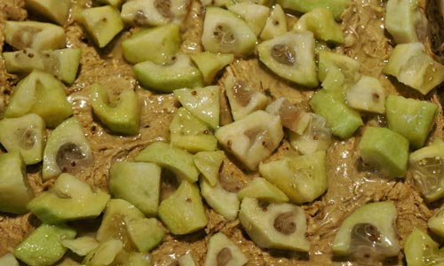 החסר מן feijoa לחורף, את המתכונים הטובים ביותר עם תמונה