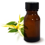 שמן אתרי Ylang Ylang שמן אתרי Ylang Ylang