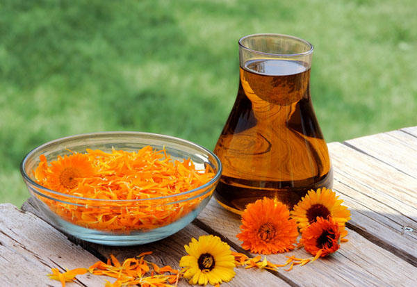 Phytoalchemia: עשבי תיבול עבור יופי ובריאות