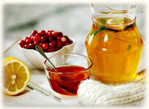 Bearberry: תכונות מרפא, יישום, צילום